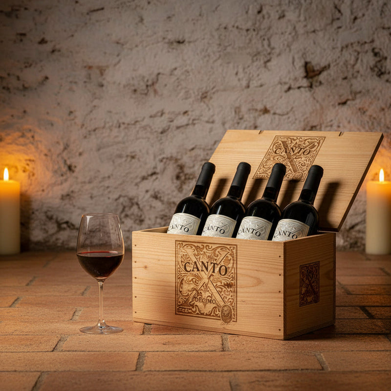 Canto X Red Alentejo wine case in rustic Portuguese cellar setting