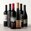 Mixed Syrah Wine Case 6 Bottles