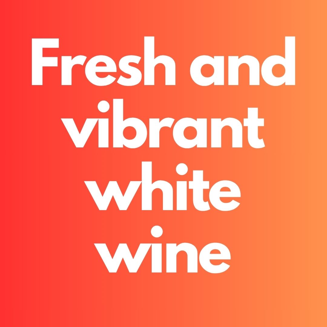 Painted Cat Sauvignon Blanc 6 bottles - Bulkyway