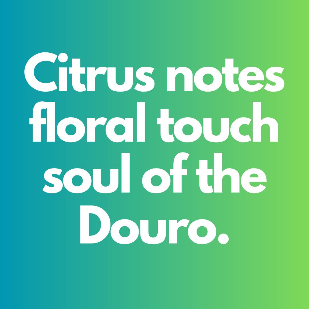 Escadas Infinitas White 6 bottles - Bulkyway