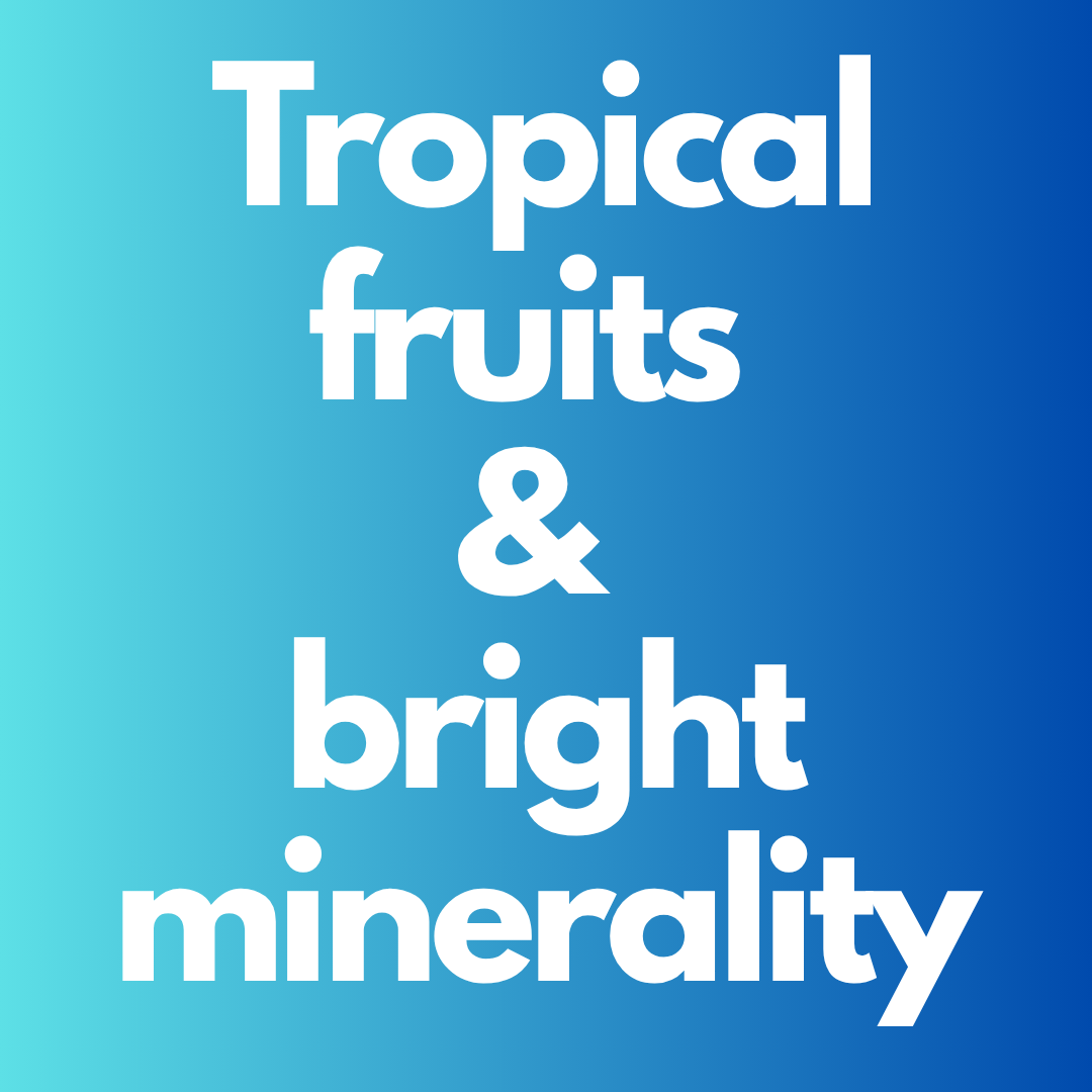 Camelias Sauvignon Blanc 6 bottles - Bulkyway