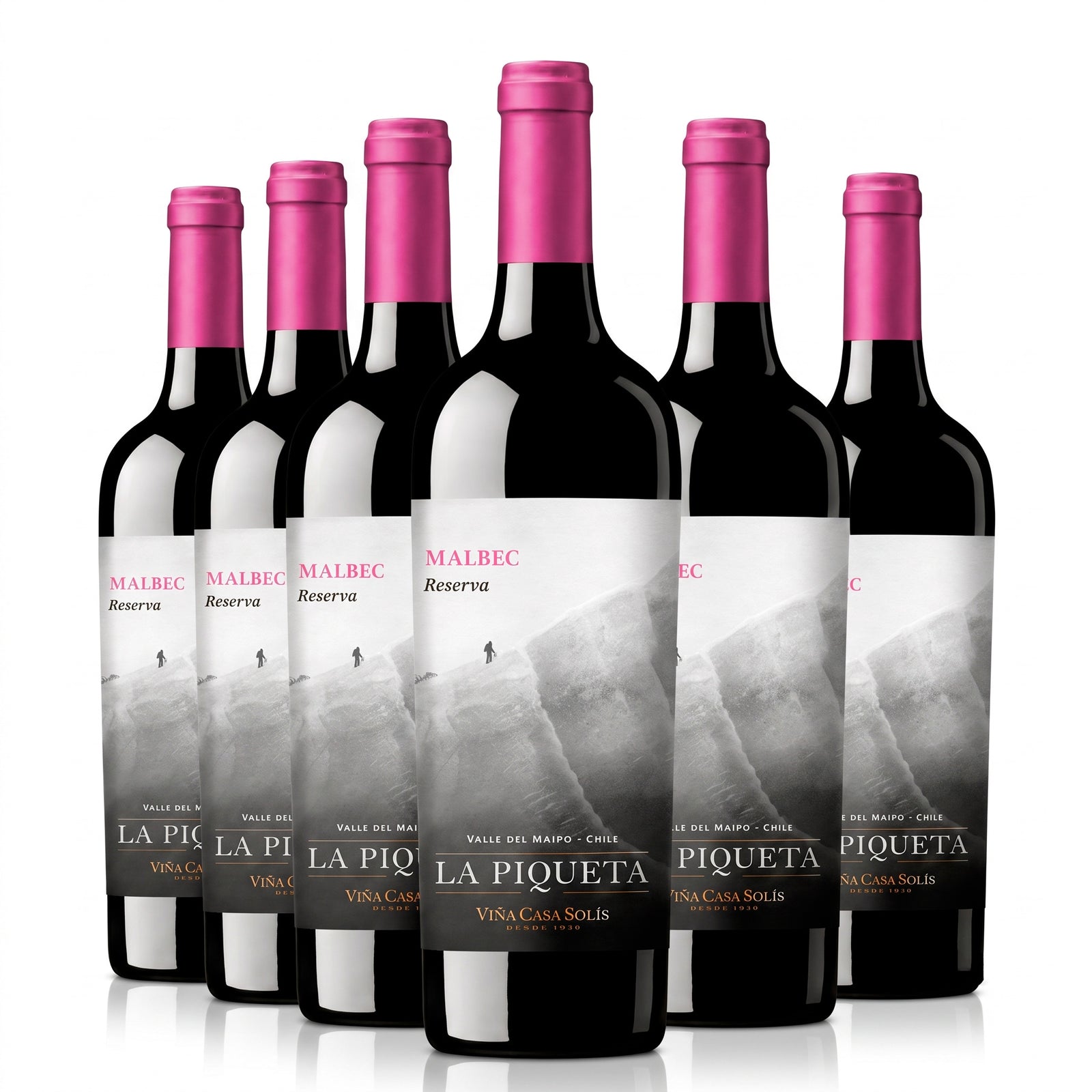 La Piqueta Malbec 12 Bottles Case