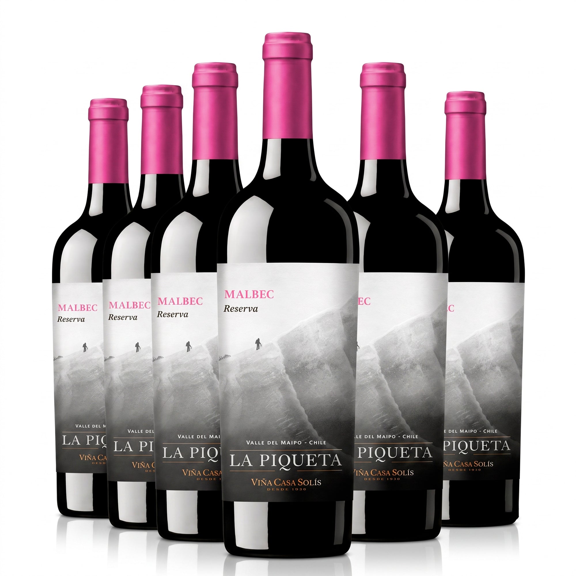 La Piqueta Malbec 12 Bottles Case