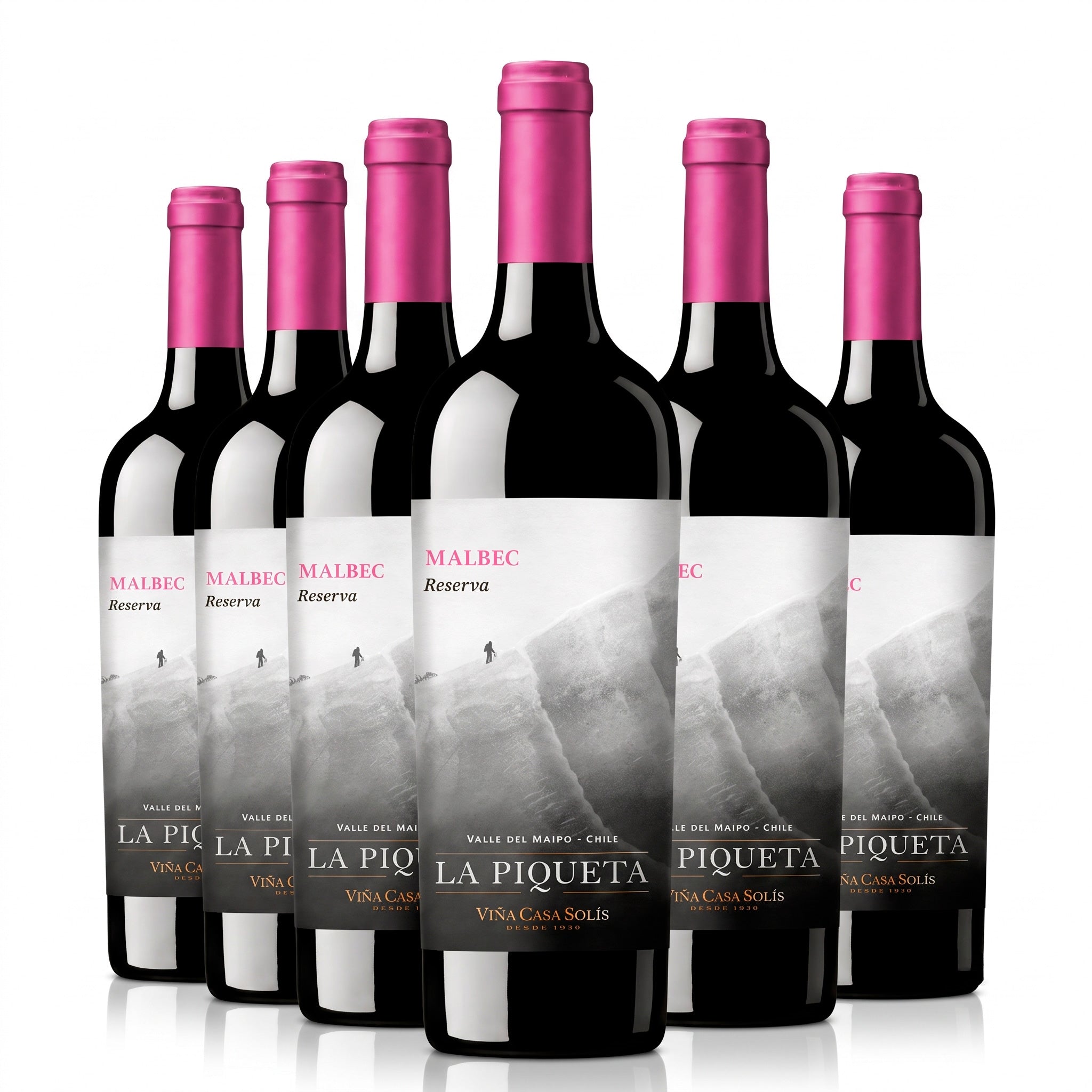 La Piqueta Malbec 12 Bottles Case